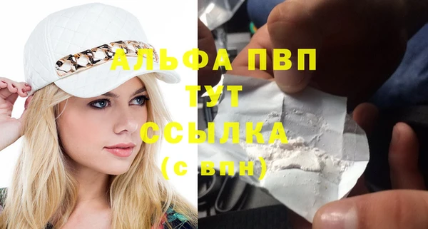 прущие крисы Богданович