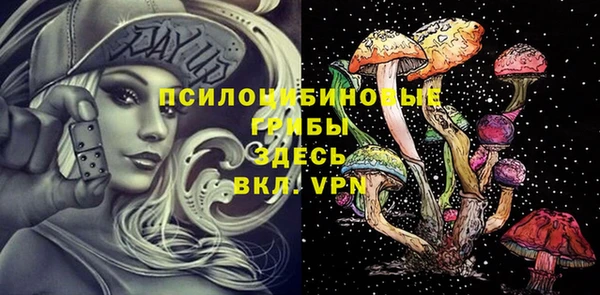 стаф Белокуриха