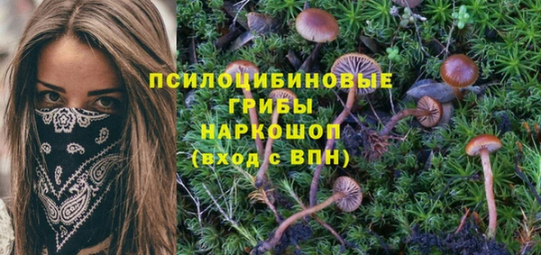 гашиш Богородск