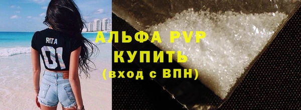 стаф Белокуриха